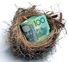 money in the nest