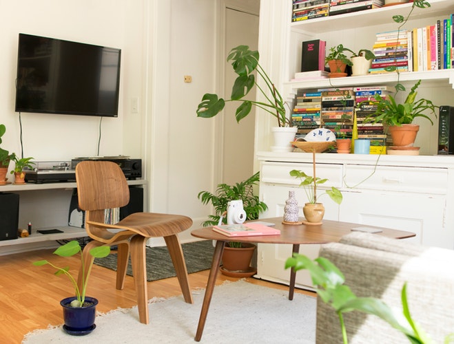 living room with greenery