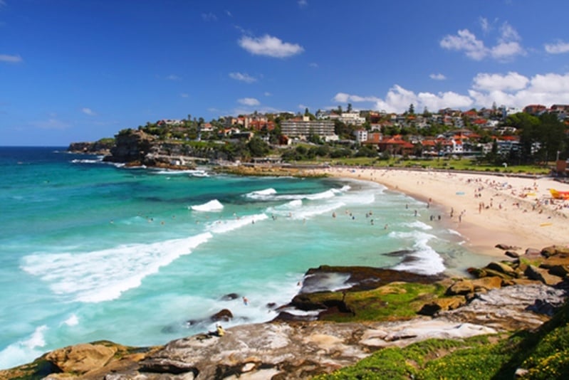 How is the Bondi market different from Bellevue Hill?