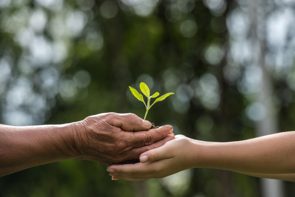 The Bank of Mum and Dad: The Right Way To Give Your Kids Their Inheritance - December 2021