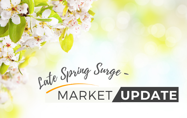 Late Spring Surge - October Market Update
