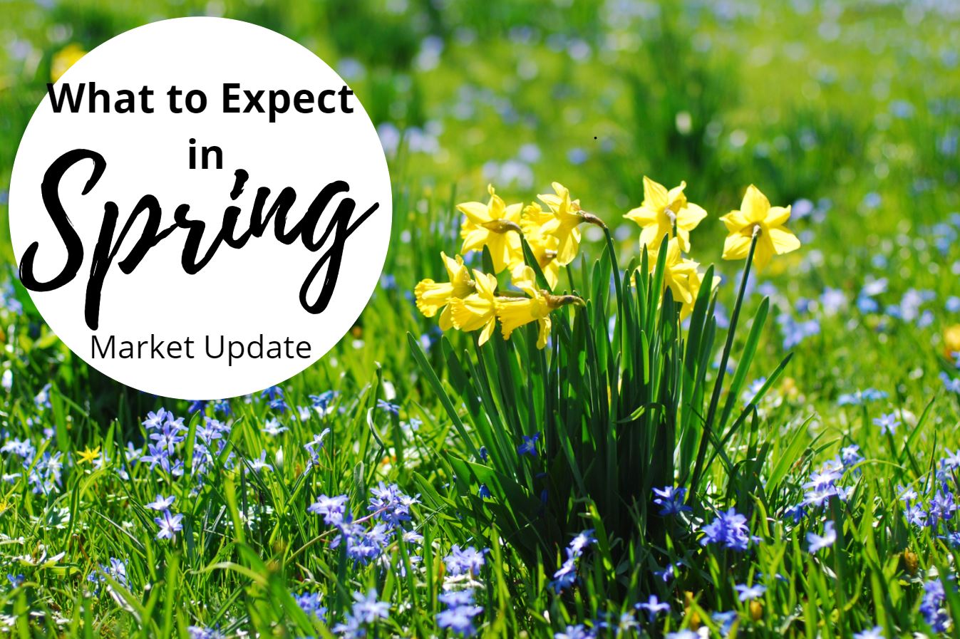 What To Expect In Spring - September 2021 Market Update