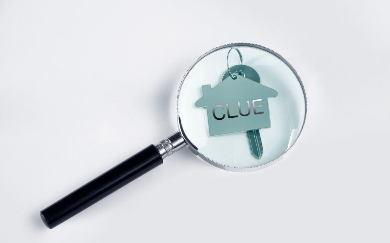 Does Past Performance Leave Clues? - January 2022