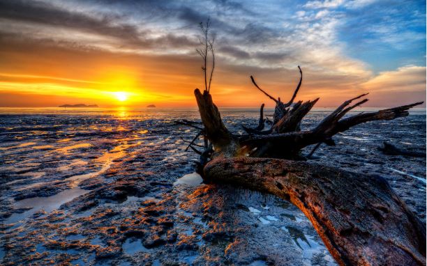 The Curse of Property Generalisations and Glimmers of Hope - July 2020