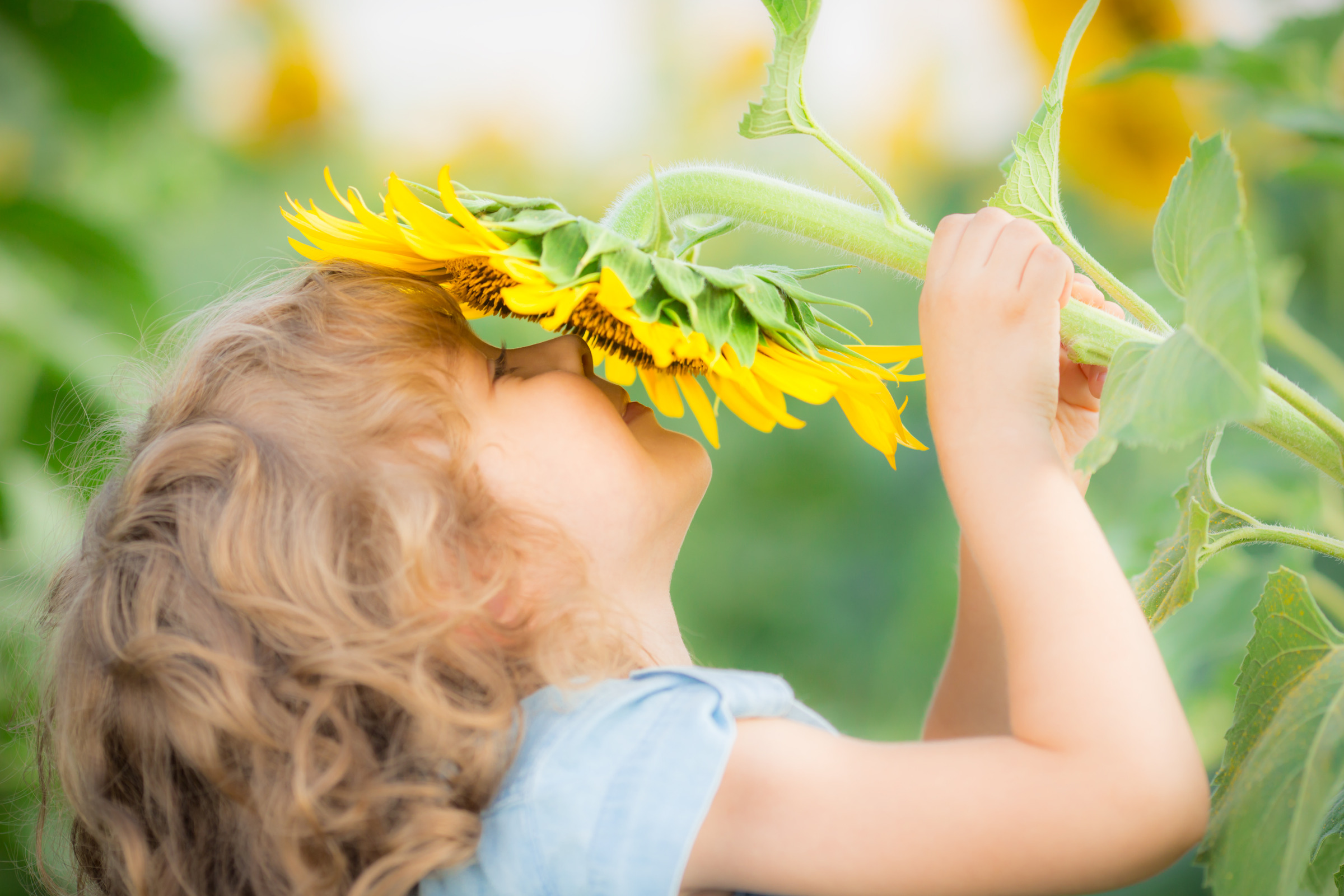 What to Expect in Spring - September Market Update